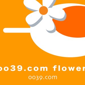 Oo39.Com - Flower