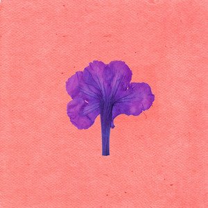 Árbol de Neem - Single