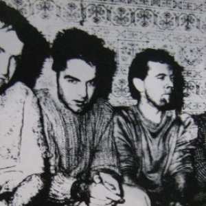 Avatar for The Nose Flutes