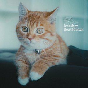 Another Heartbreak - Single