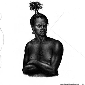 Hairstyles Of The World 的头像