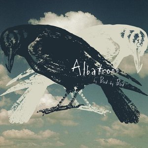 Albatross