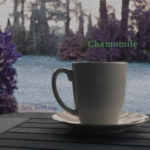 Chamomile