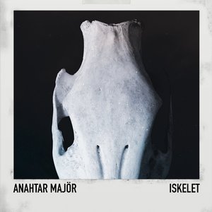 Iskelet