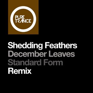 December Leaves (Standard Form Remix)