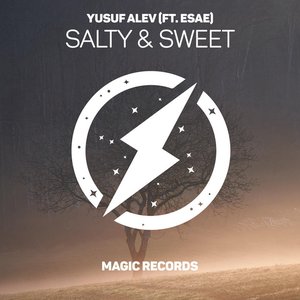 Salty & Sweet - Single