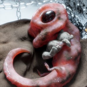 Genomics Of Domestication