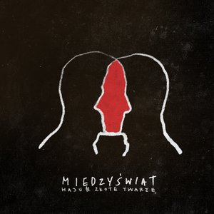 “Haju i Złote Twarze”的封面