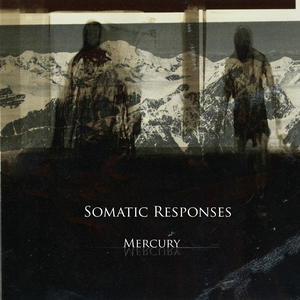 Mercury cover