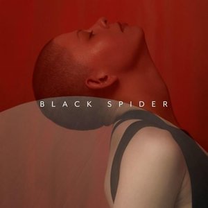 Black Spider (Origami Remix)