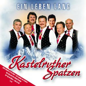 Ein Leben lang cover