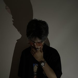 Avatar for 白鸿