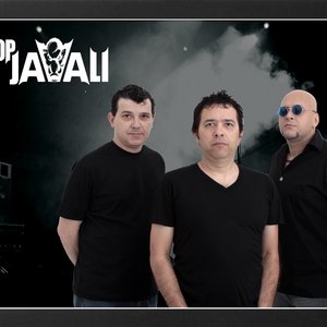 Avatar for Pop Javali