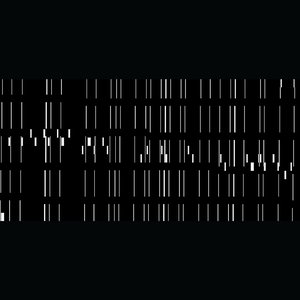 Pulse