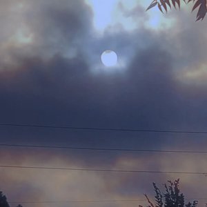 Sun Grow Cold