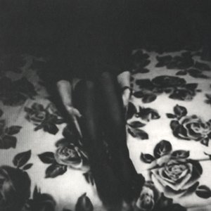 In The Shadows