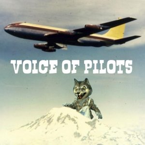 Voice of Pilots