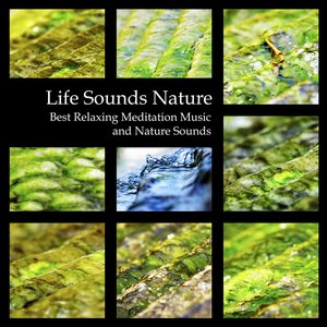 Life Sounds Nature - Best Relaxing Meditation Music and Nature Sounds