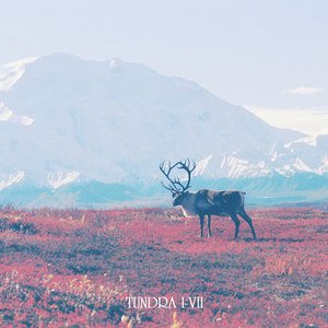 Tundra I-VII