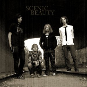Scenic Beauty 的头像