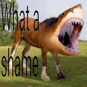 Image for 'What a Shame 2'