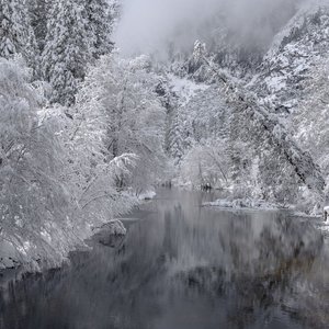 Serene Sevens