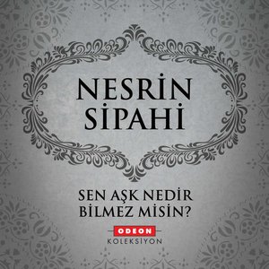 Sen Aşk Nedir Bilmez Misin?