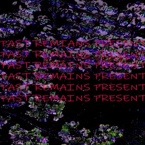 PAST REMAINS PRESENT