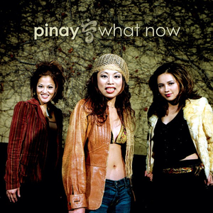 What Now cover