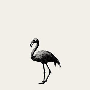 EP - Single