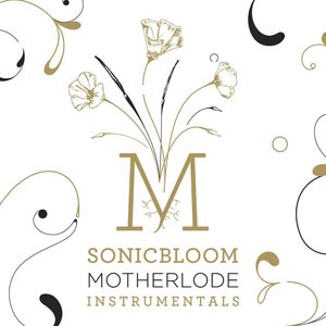 Motherlode Instrumentals