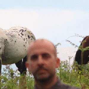 Avatar for Primeiro