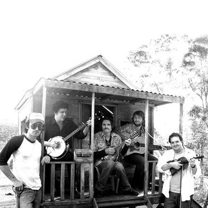 The Wilson Pickers 的头像