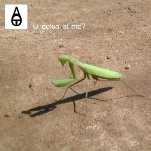 Reggae Dub - Single