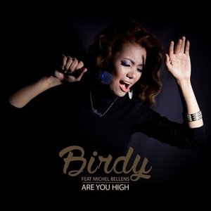 Are You High (feat. Michel Bellens)