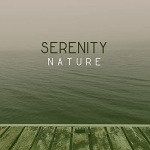 Ambient Nature Serenity