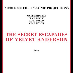 The Secret Escapades of Velvet Anderson