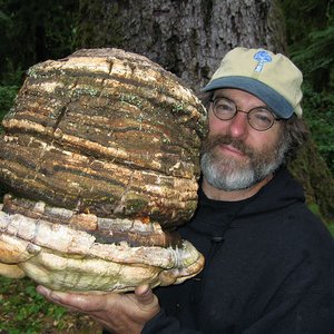 Avatar for Paul Stamets