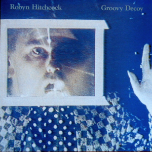 Groovy Decoy cover