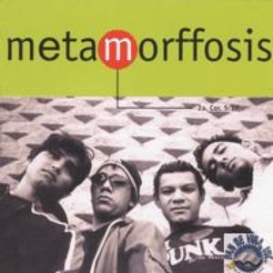 metamorffosis
