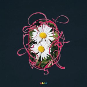 Rewild