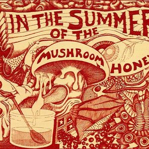 Image for 'In The Summer Of The Mushroom Honey'