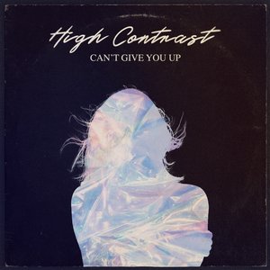 Can't Give You Up - Single