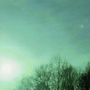 Orchid Mantis - It Was Gone Lyrics - Zortam Music