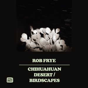Chihuahuan Desert / Birdscapes