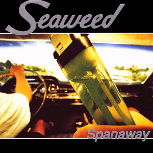 Spanaway cover