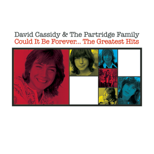 DAVID CASSIDY - Cherish - remastered Lyrics - Zortam Music