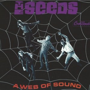 A Web of Sound [2 Disc]