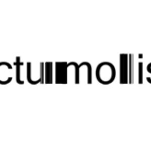 Tactu Mollis 的头像