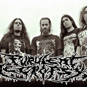 Purulent Necropsys için avatar